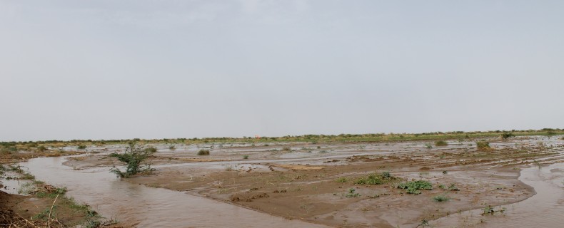 Assessment of the impacts of the GERD on the downstream hydrology and water resources